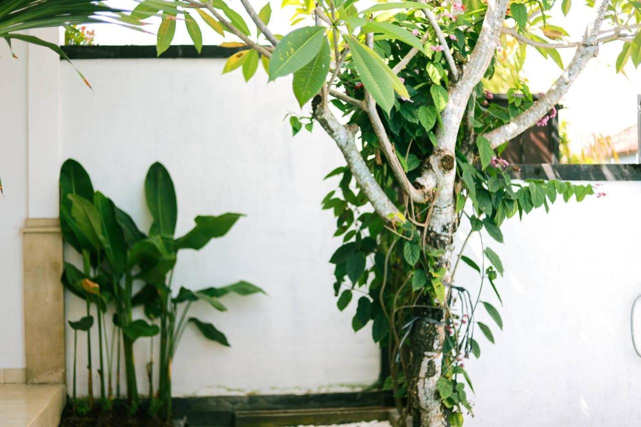 Adi Guest House Canggu Εξωτερικό φωτογραφία