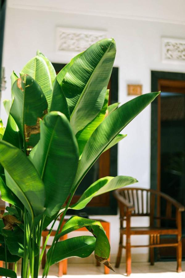 Adi Guest House Canggu Εξωτερικό φωτογραφία