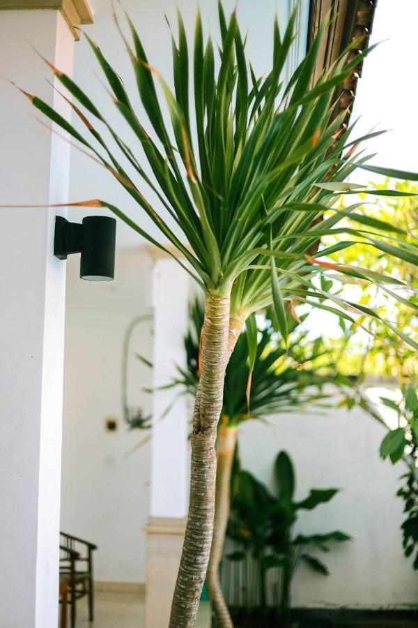 Adi Guest House Canggu Εξωτερικό φωτογραφία