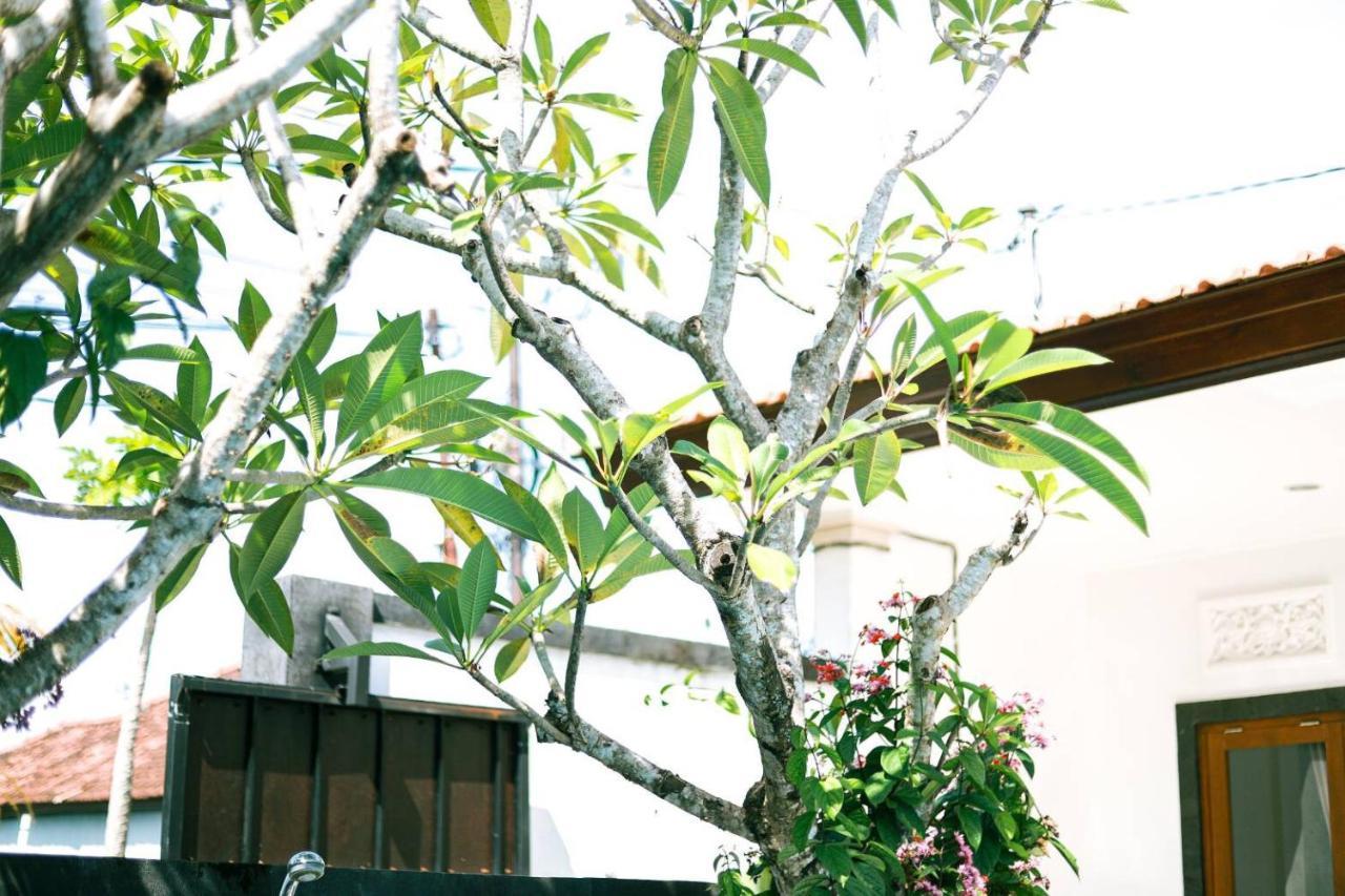Adi Guest House Canggu Εξωτερικό φωτογραφία