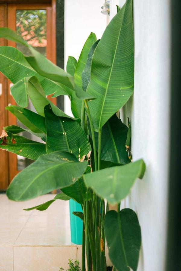 Adi Guest House Canggu Εξωτερικό φωτογραφία